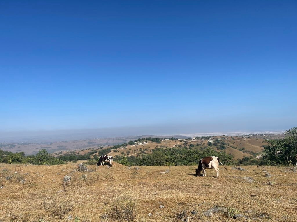 dhofar mountains in Salalah on a sunny winter day