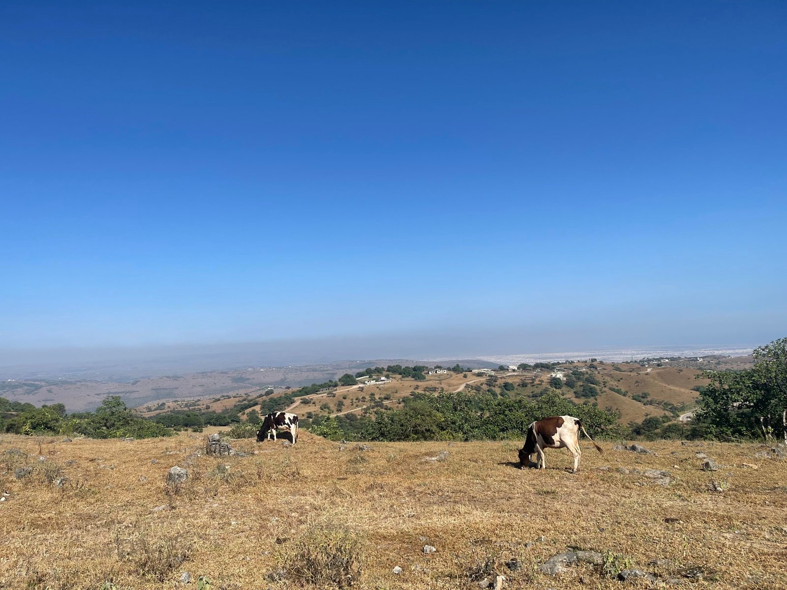 dhofar mountains in Salalah on a sunny winter day